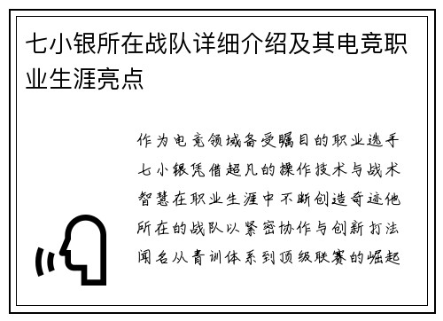 七小银所在战队详细介绍及其电竞职业生涯亮点