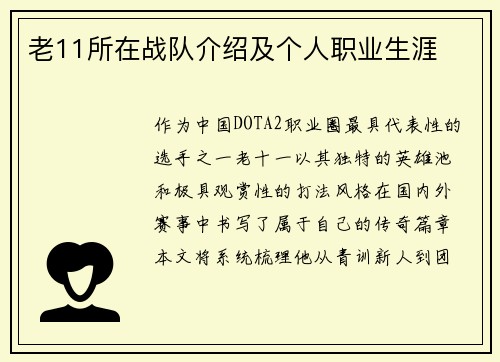 老11所在战队介绍及个人职业生涯